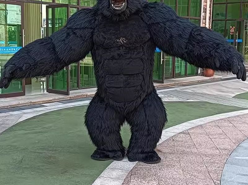 Real Life Inflatable Gorilla C - Anime Cosplay Real Life avaliação e preço
