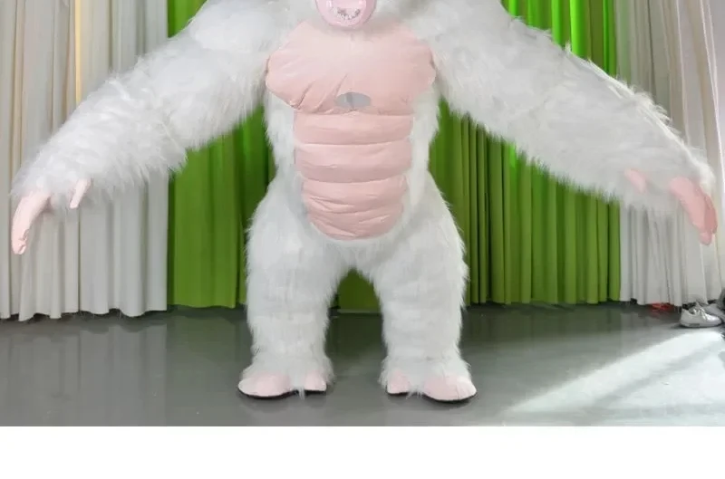 Christmas Real Life Inflatable - Anime Cosplay Real Life avaliação e preço