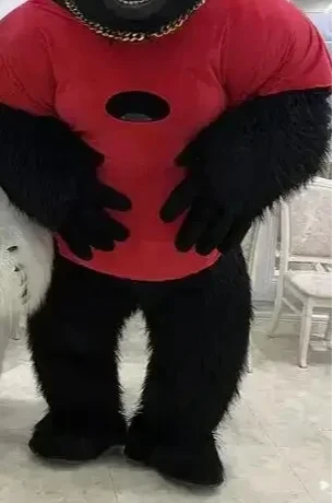 Christmas Real Life Inflatable - Anime Cosplay Real Life avaliação e preço