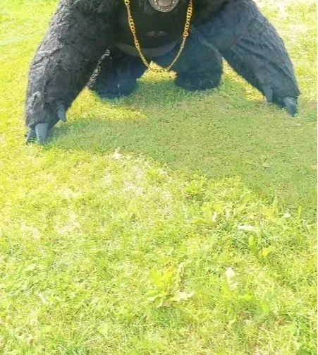 Christmas Real Life Inflatable - Anime Cosplay Real Life avaliação e preço