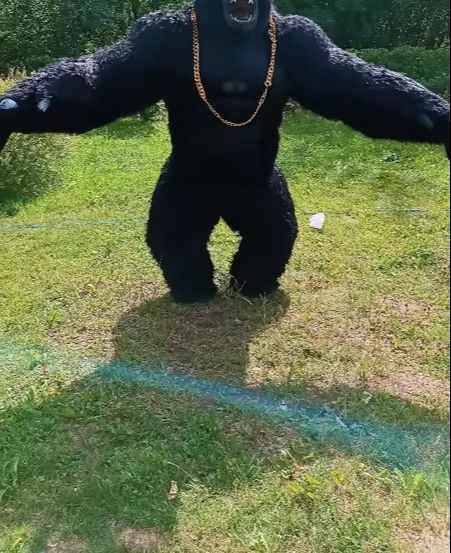 Real Life Inflatable Gorilla C - Anime Cosplay Real Life avaliação e preço