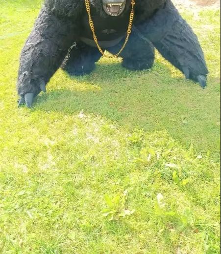 Real Life Inflatable Gorilla C - Anime Cosplay Real Life avaliação e preço