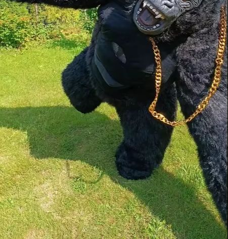 Real Life Inflatable Gorilla C - Anime Cosplay Real Life avaliação e preço