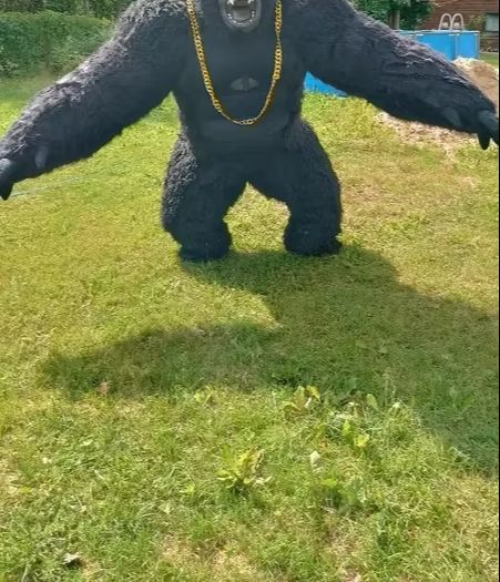 Real Life Inflatable Gorilla C - Anime Cosplay Real Life avaliação e preço